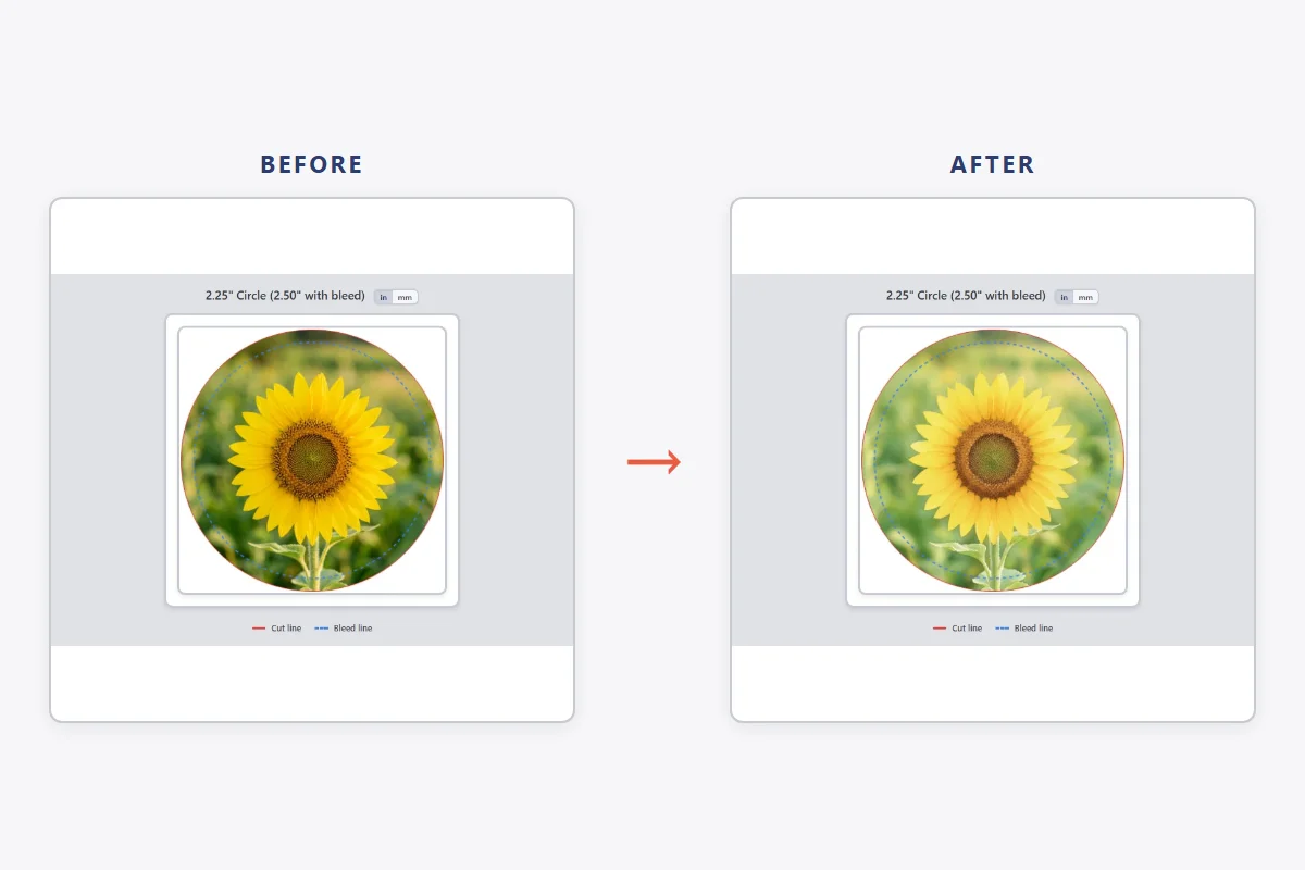 A sunflower photo before style transfer and the same image redrawn as a watercolour